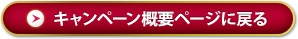 返回活动概览页面