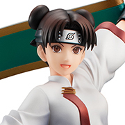 MegaTore Shop 已开始接受NARUTO GALS NARUTO SHIPPUDEN办的预订！