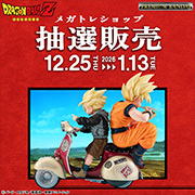 メガトレショップで抽選販売を実施いたしました（～1月13日まで）