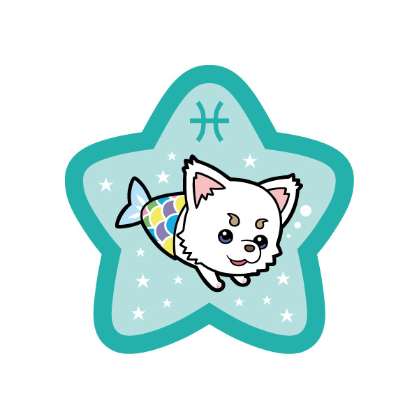 サムネイル画像13