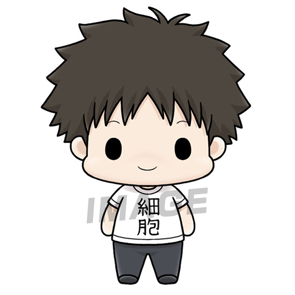 サムネイル画像8