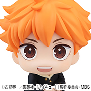 ハイキュー!! 日向翔陽