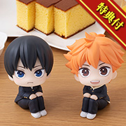 ハイキュ―!! 日向翔陽&影山飛雄 セット 【限定特典 座布団付き】