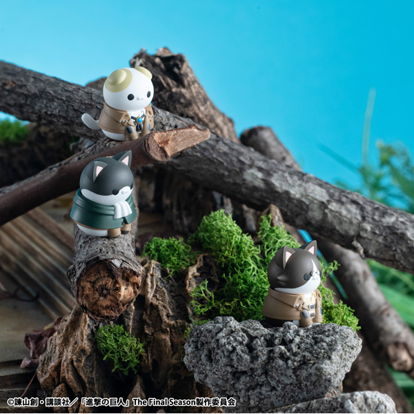 サムネイル画像11