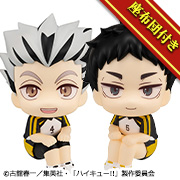 排球少年!!！！北斗小太郎/赤石敬Form Ver. 【限量版带坐垫】