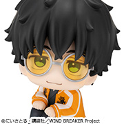 WIND BREAKER Tokamejo