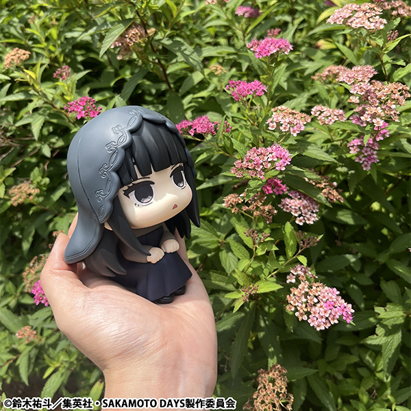 サムネイル画像12