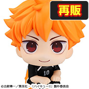 海九！！日向翔阳Form Ver. [再版]